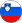 Slovenia flag