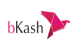 bKash logo