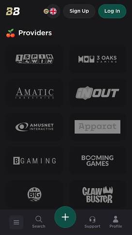 BelaBet Casino Game Developers