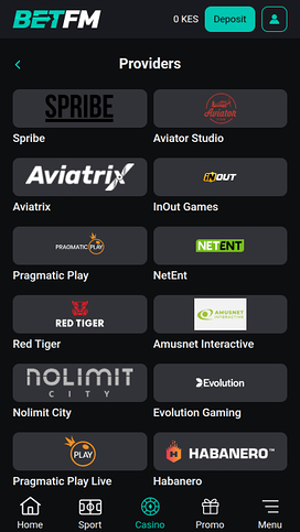 Game Developers of Betfm Casino for Mobile