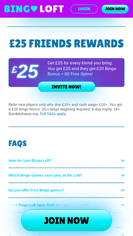 Bingo Loft Casino Mobile Promotions