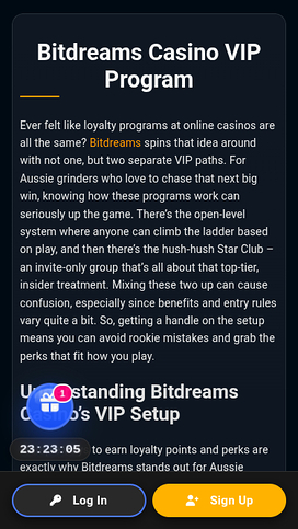 Bitdreams Casino Mobile VIP Program