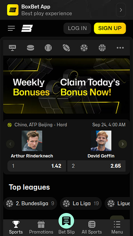 BoxBet Casino Mobile Sports