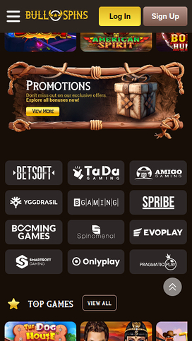 Bull Spins Casino Mobile Game Developers