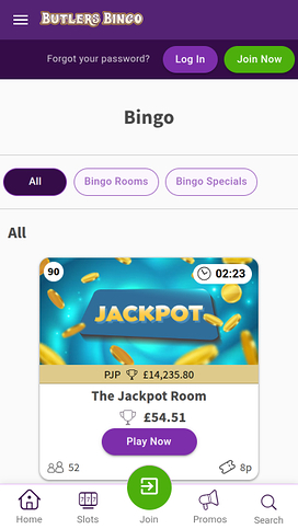 Butlers Bingo Mobile Bingo