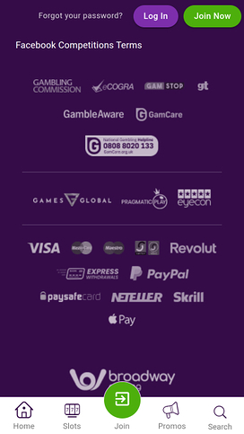 Butlers Bingo Mobile Game Developers