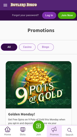 Butlers Bingo Mobile Promotions
