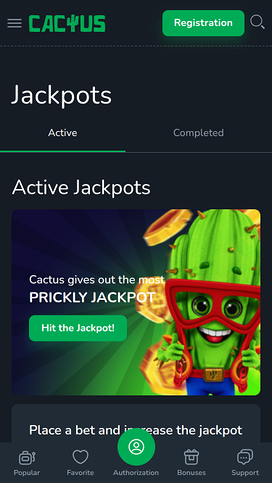 Cactus Casino Mobile Jackpot