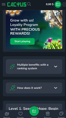 Cactus Casino VIP Program