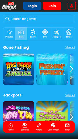 Daily Record Bingo Games Mobile