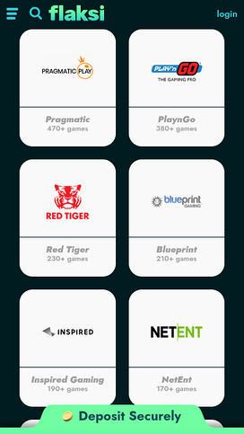 Flaksi Mobile Game Developers