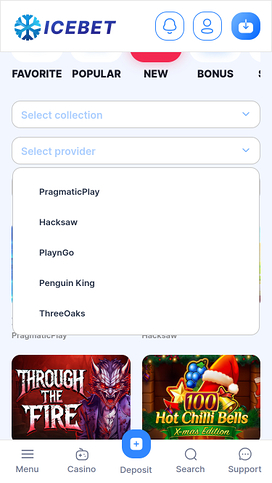 IceBet Casino Mobile Game Developers