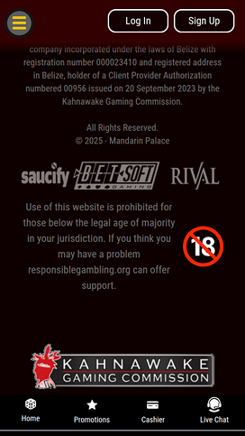 Mandarin Palace Casino Mobile Game Developers