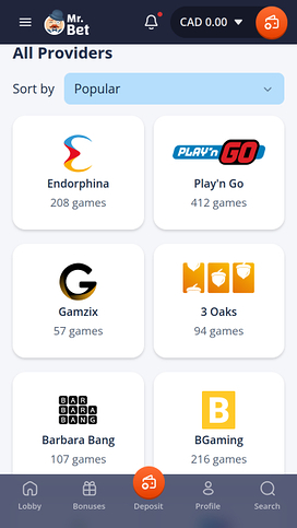 Mr Bet Casino Mobile Game Developers