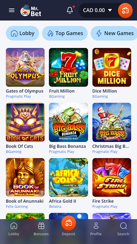 Mr Bet Casino Mobile Games