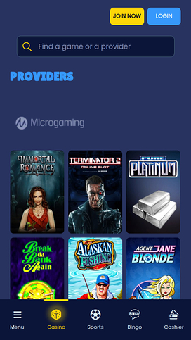 Mr Slot Casino Mobile Game Developers