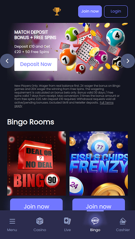 Mr Vegas Casino Mobile Bingo