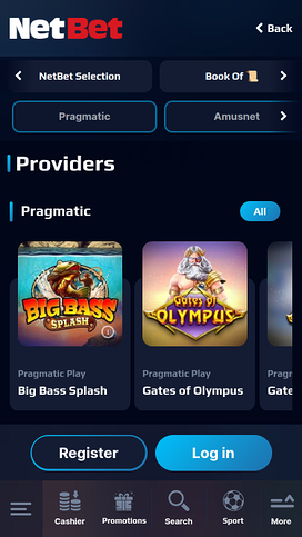 NetBet Casino Mobile Game Developers