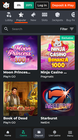 Ninja Casino Mobilspel
