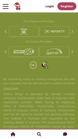 Online Bingo Mobile Game Developers