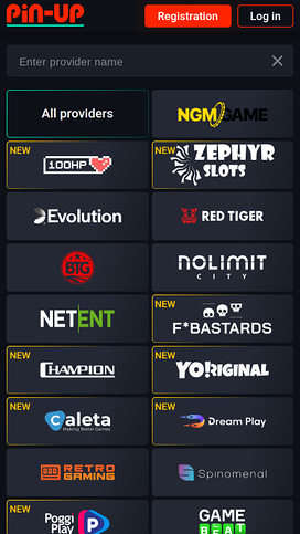 Pin Up Casino Mobile Game Developers