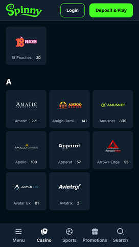 Spinny Casino Mobile Game Developers