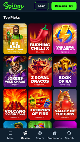 Spinny Casino Mobile Games