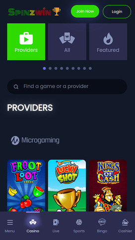 SpinzWin Casino Mobile Game Developers