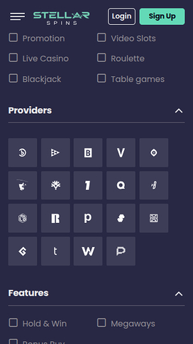 Stellar Spins Mobile Game Developers