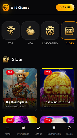 Wild Chance Casino Mobile Games