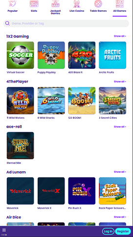 Wildz Casino Mobile Game Developers