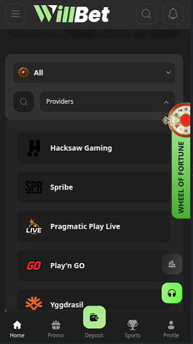 Willbet Casino Mobile Game Developers