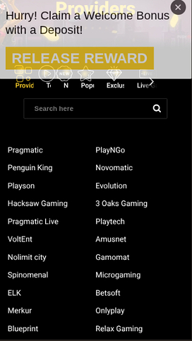 Zet Casino Mobile Game Developers