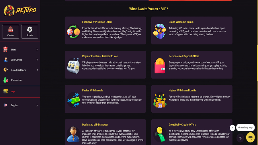 VIP screenshot of Beturo Casino for Desktop