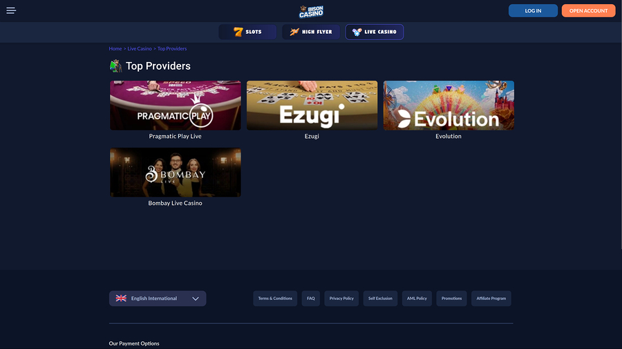 Bison Casino Desktop Live Dealer