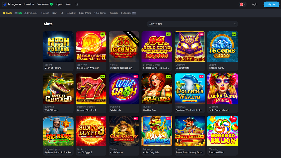 BitVegas Casino Desktop Games
