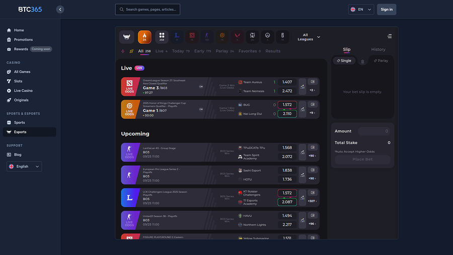 BTC365 Casino Desktop Sports