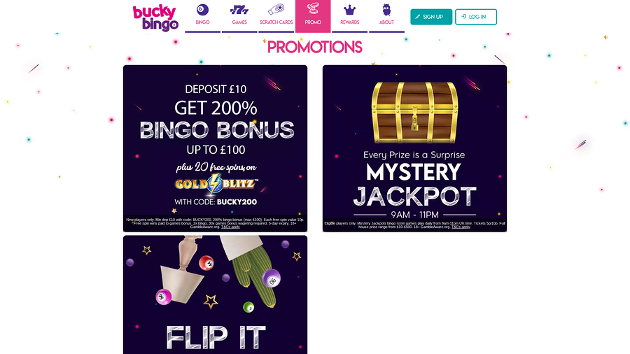 Bucky Bingo Desktop Promotions