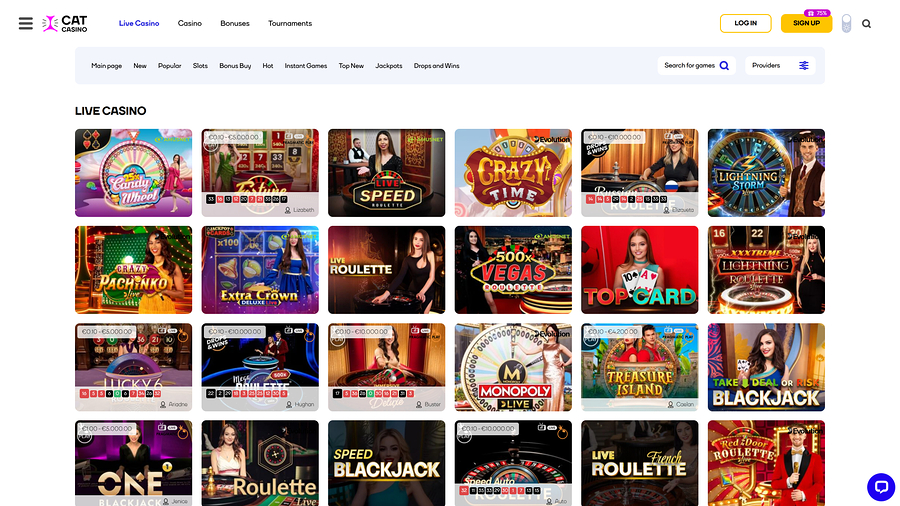 Cat Casino Live Dealer Desktop