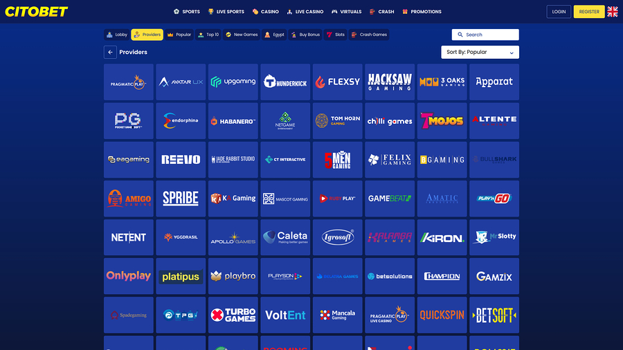 Citobet Game Developers Desktop