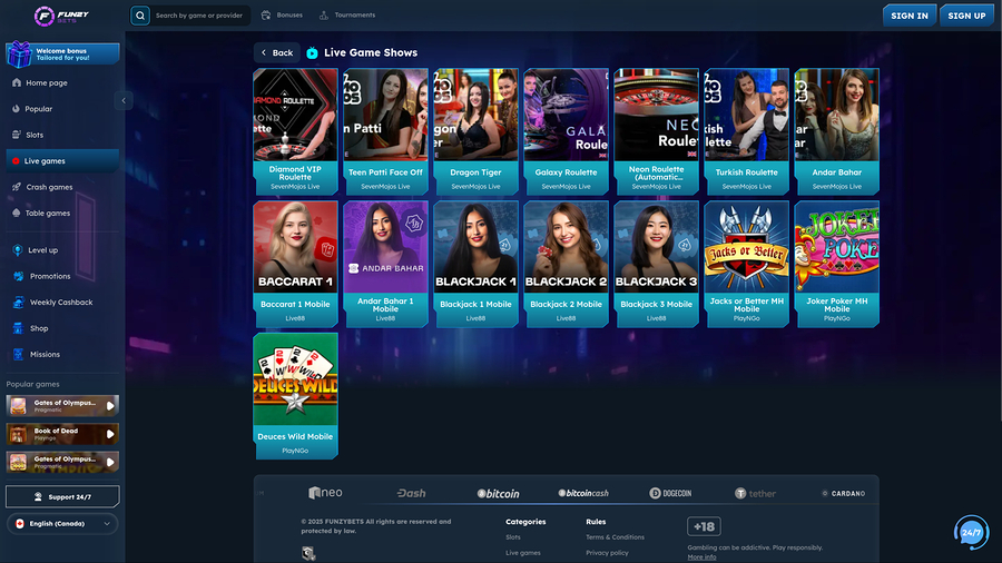 FunzyBets Casino Desktop Live Dealer