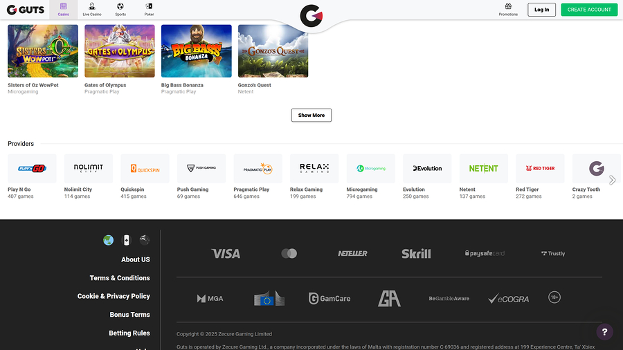 Guts Casino Desktop Game Developers