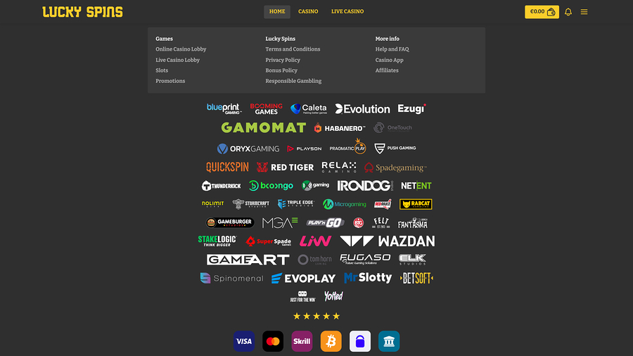 Lucky Spins Desktop Game Developers 