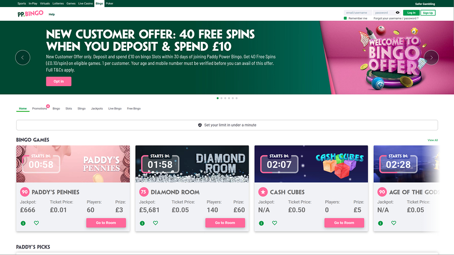 Paddy Power Casino Desktop Bingo