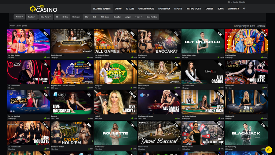 Playhub Casino Desktop Live Dealer