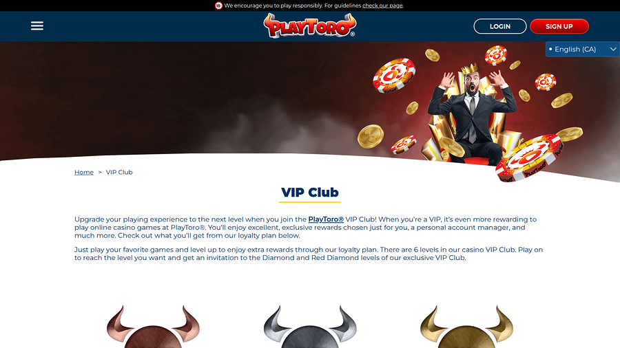 PlayToro Casino Desktop VIP Program