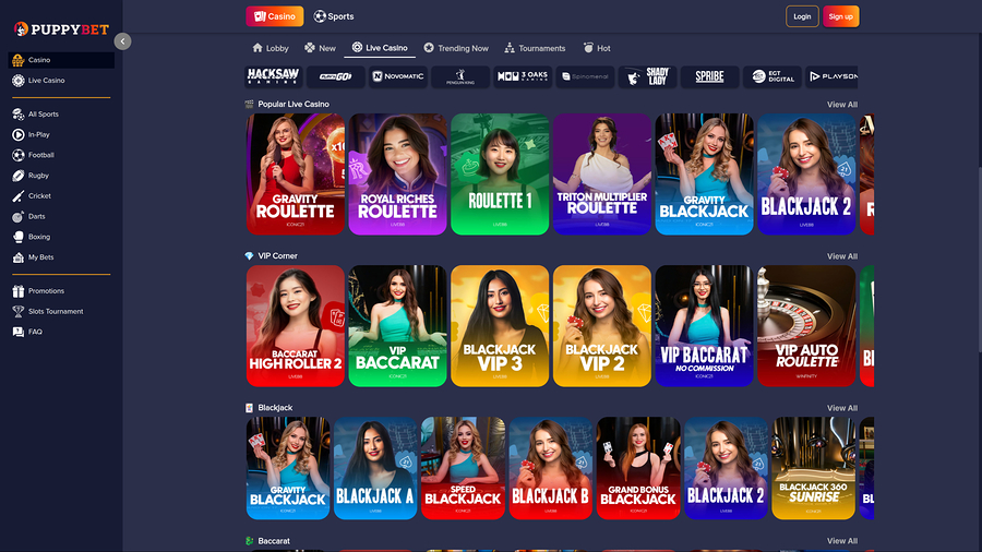 PuppyBet Casino Desktop Live Dealer