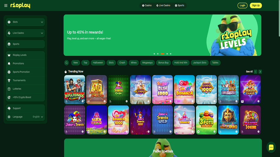 Homepage screenshot of Rioplay Casino for Desktop