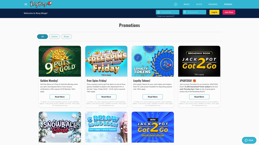 Rosy Bingo Desktop Promotions