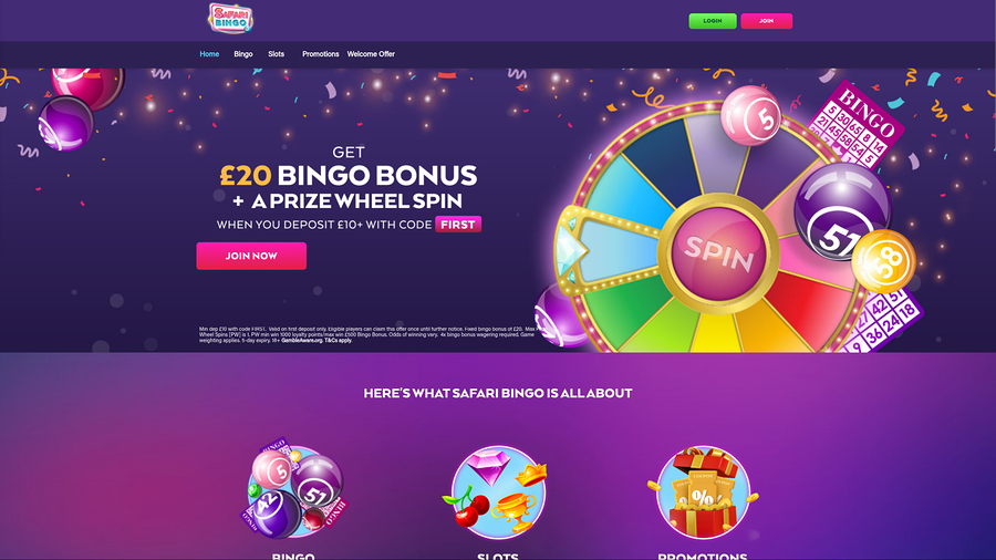 Safari Bingo Casino Desktop Homepage